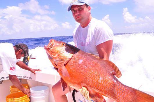 Cubera snapper fishing cancun